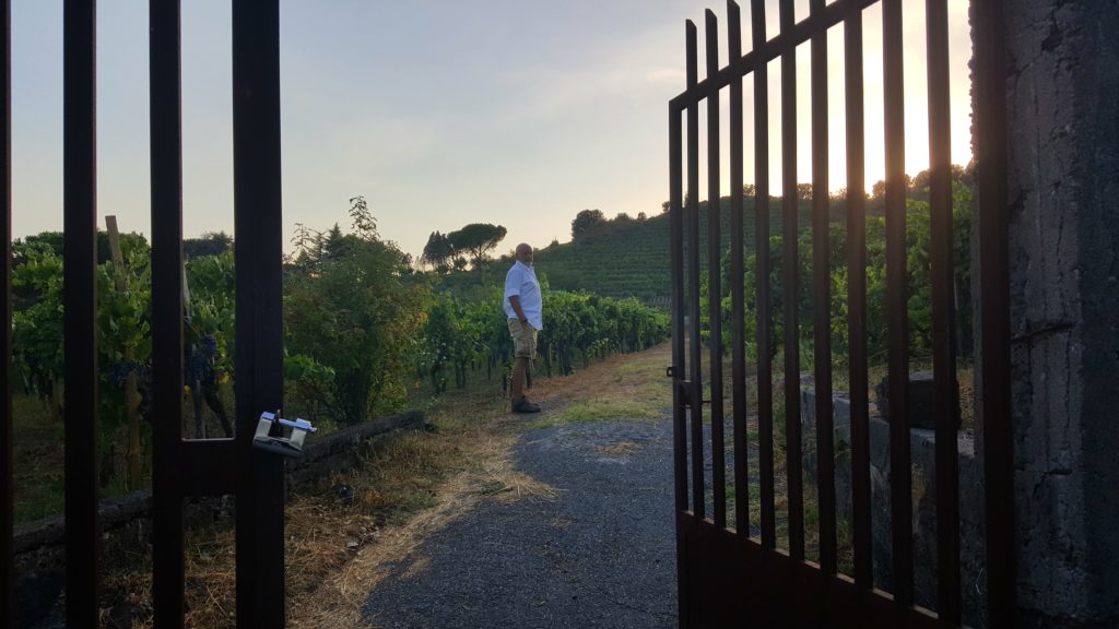 personal tour on mt etna