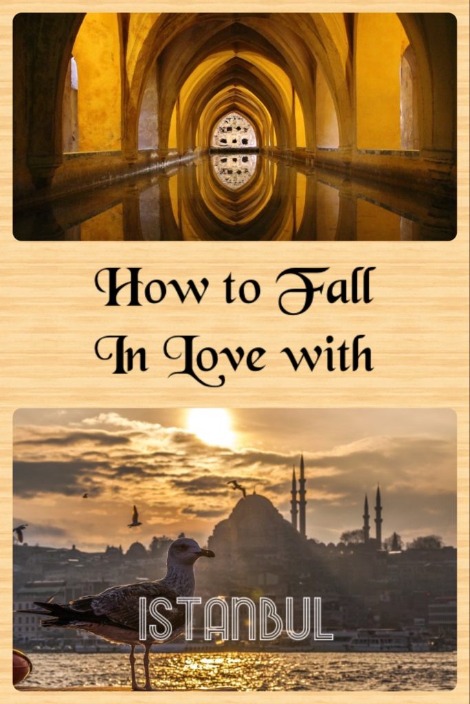 54E75FB0-1664-448B-8916-8EE115C27CD5-683x1024 How to Fall in Love with Istanbul