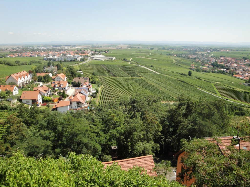 Exploring the German Weinstrasse The Landscape