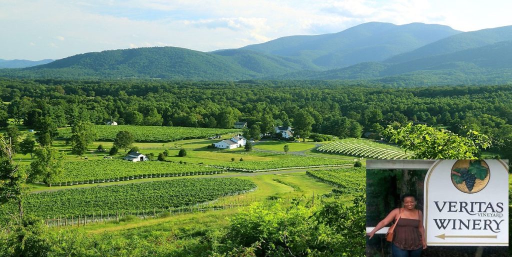Beyond Napa-- 5 Other Wine Regions Charlottesville Wine Region Veritas Winery