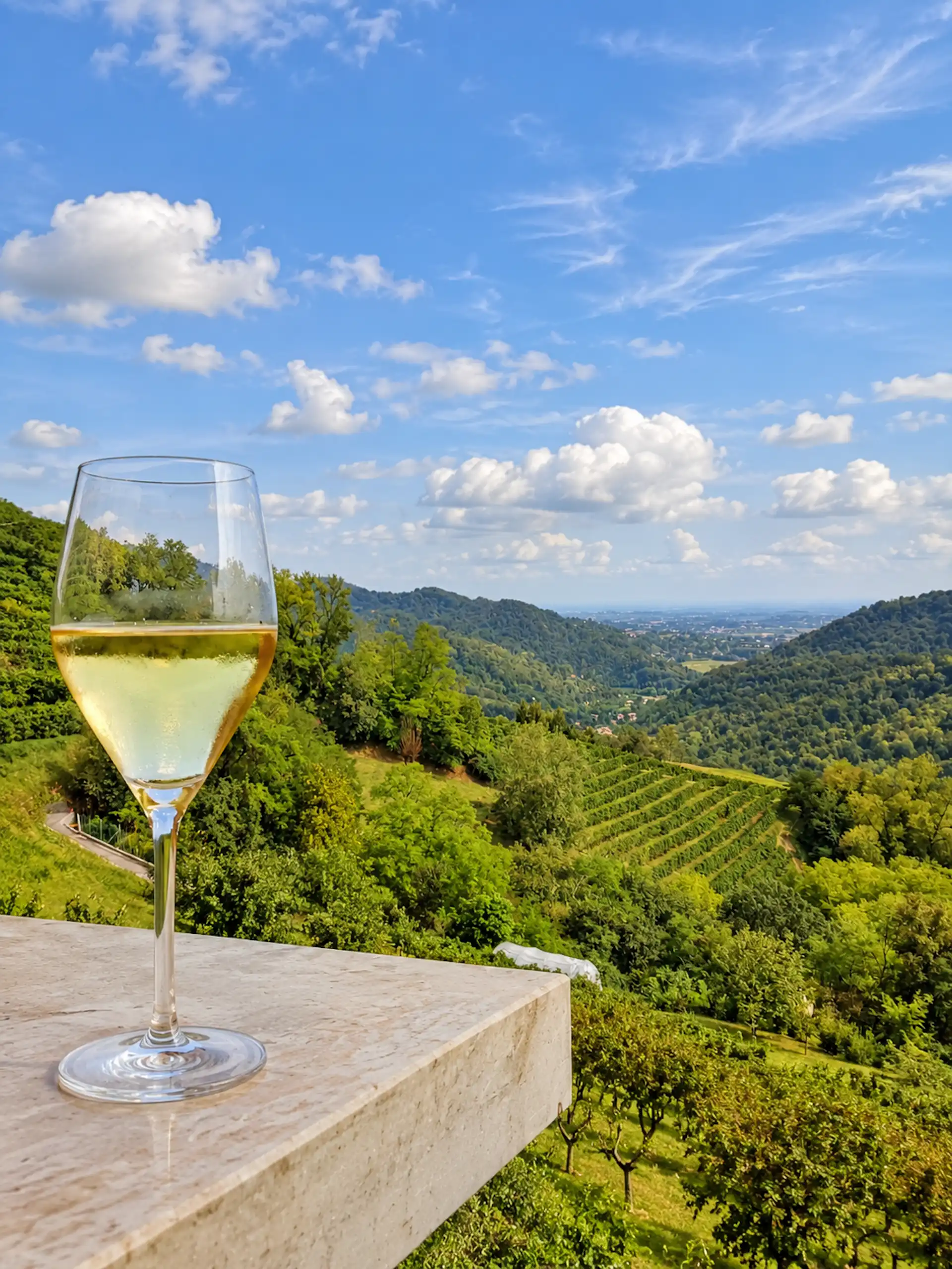 White wine glass over rolling vineyards