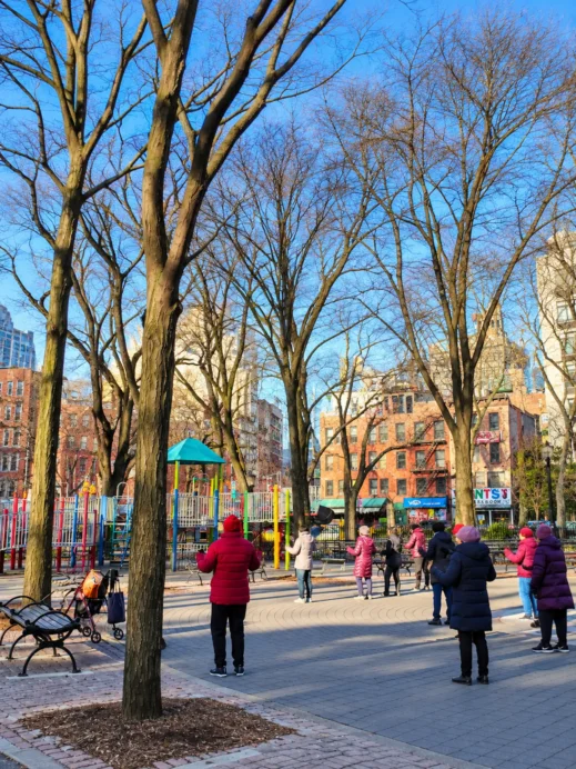 Winter Tai Chi in the City Park
