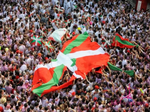 pamplona flag