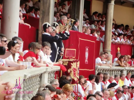 pamplona horns