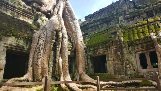 Ta Prohm Closeup