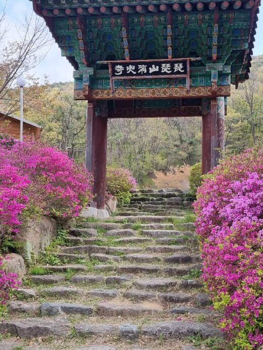 Biseulsan entrance (비슬산) 대구 달성군 유가읍 양리 산 3-1