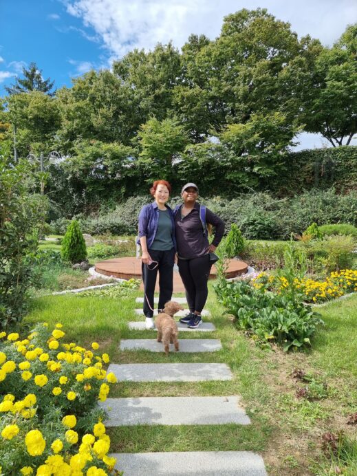 Friends in South Korea Park