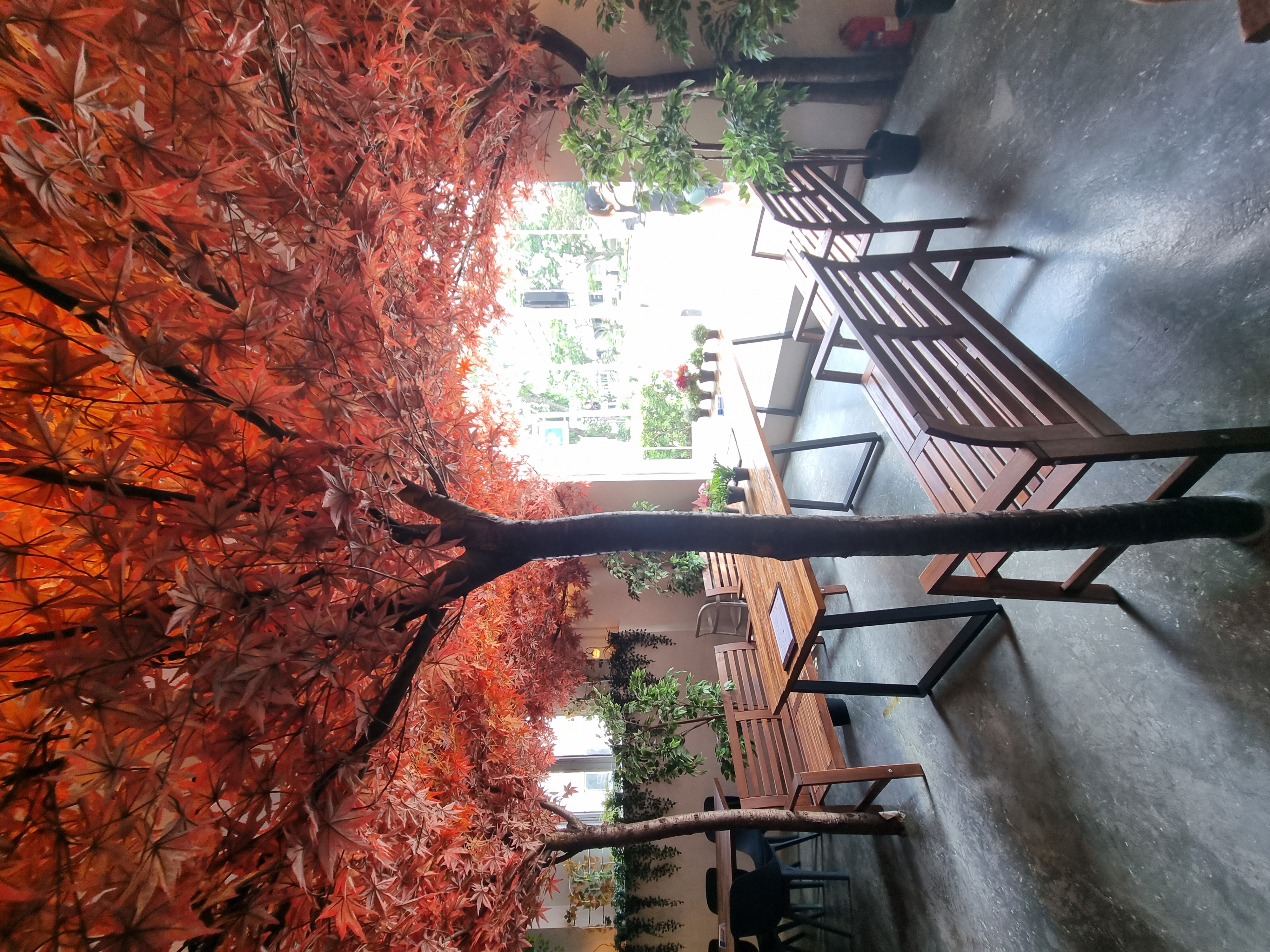 Cafe hopping in Singapore Cafe Kreams red tree