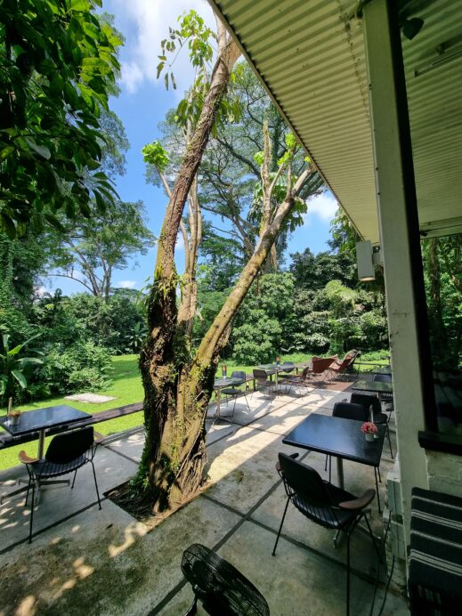 Coffee shop PS.Cafe in Singapore tree