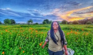Military spouse sunset in field