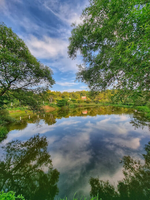 Desanae Ranch in Gachang reflections