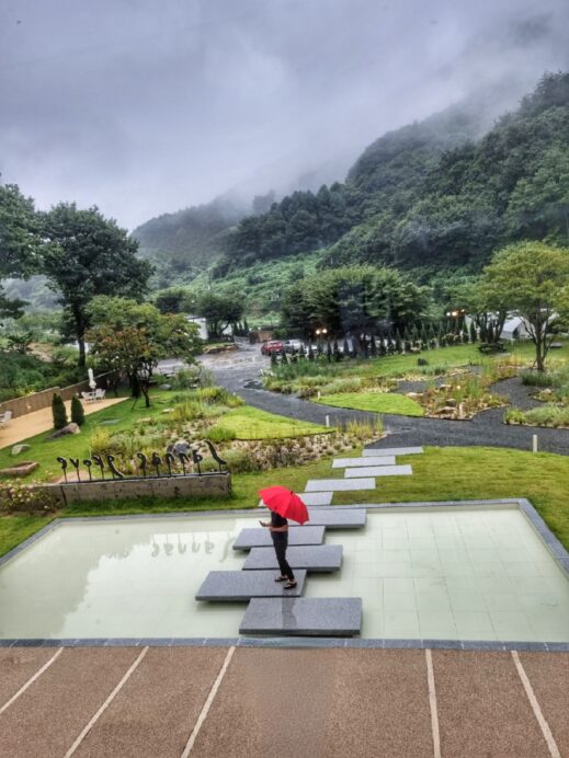 Umbrella Sannae Grove Cafe Cafe hopping in Gyeongju