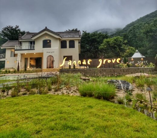 Field Sannae Grove Cafe Cafe hopping in Gyeongju