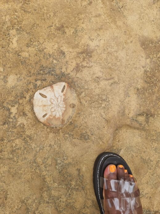 Klook group tour yehliu-geopark seashells