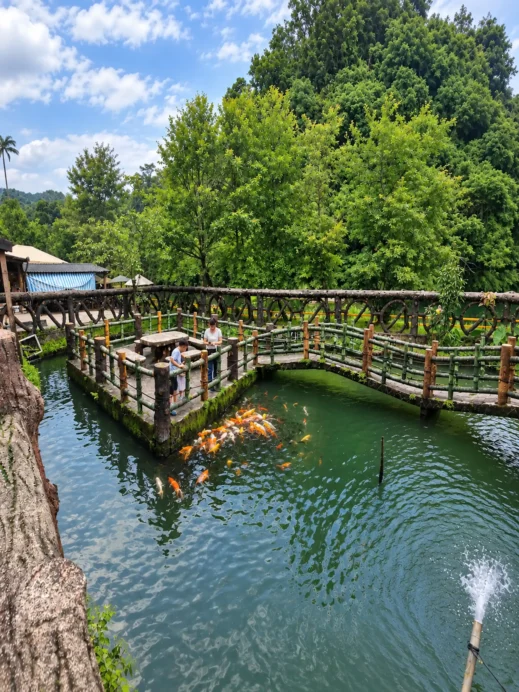 Klook, Tranquil Koi Pond Garden Viewing