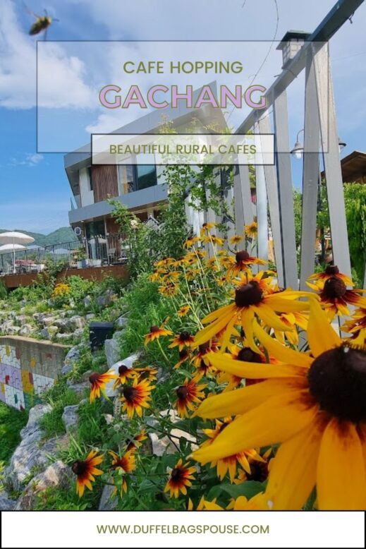 Unique coffee at Cafes in Gachang-- visit the art galleries, stroll flower gardens, and enjoy charming rural cafes in this picturesque town.