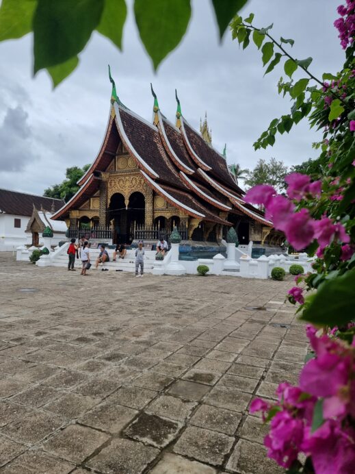 Experience the captivating morning ritual of alms giving and embark on spiritual Orange Robe Tour and Monk Chat in enchanting Luang Prabang.