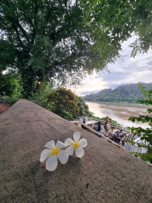 Champa on the Mekong