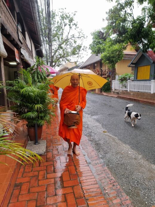 Saffron robed monk in the rain