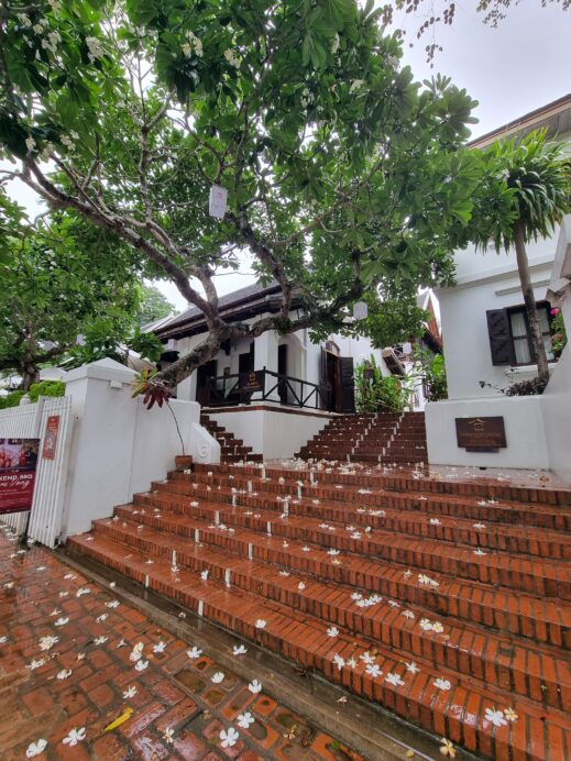 frangipani on the stairs