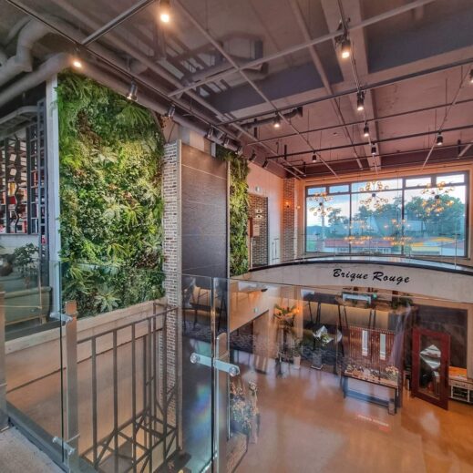 green wall at Brique Rouge cafe brunch rooftop