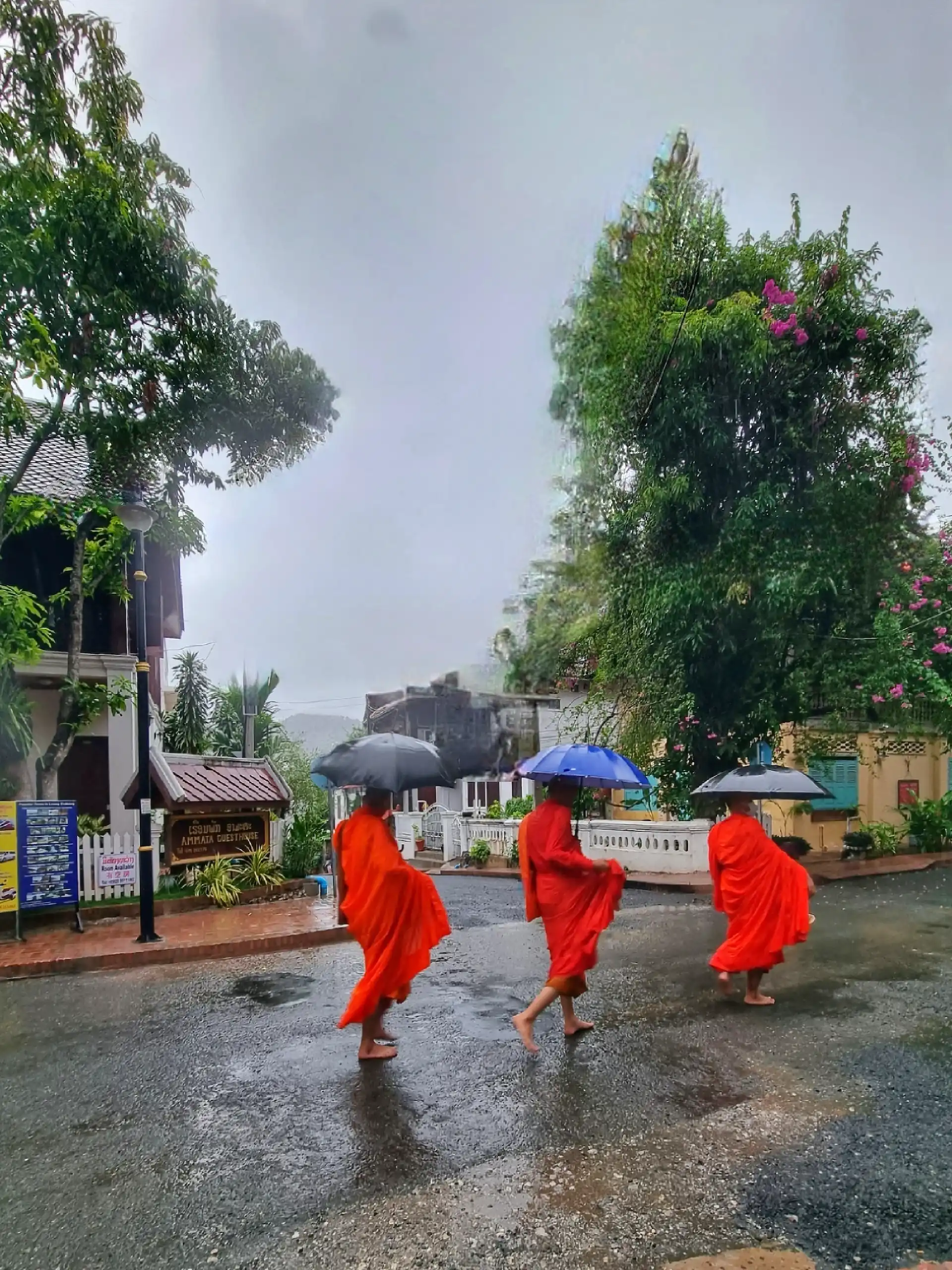 Three monks, Luang Prabang, morning alms