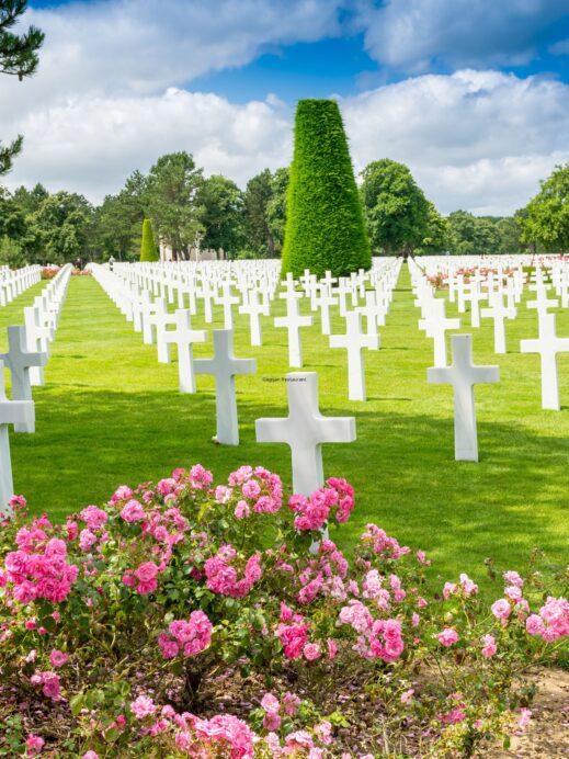 United Nations Memorial Cemetery in Busan