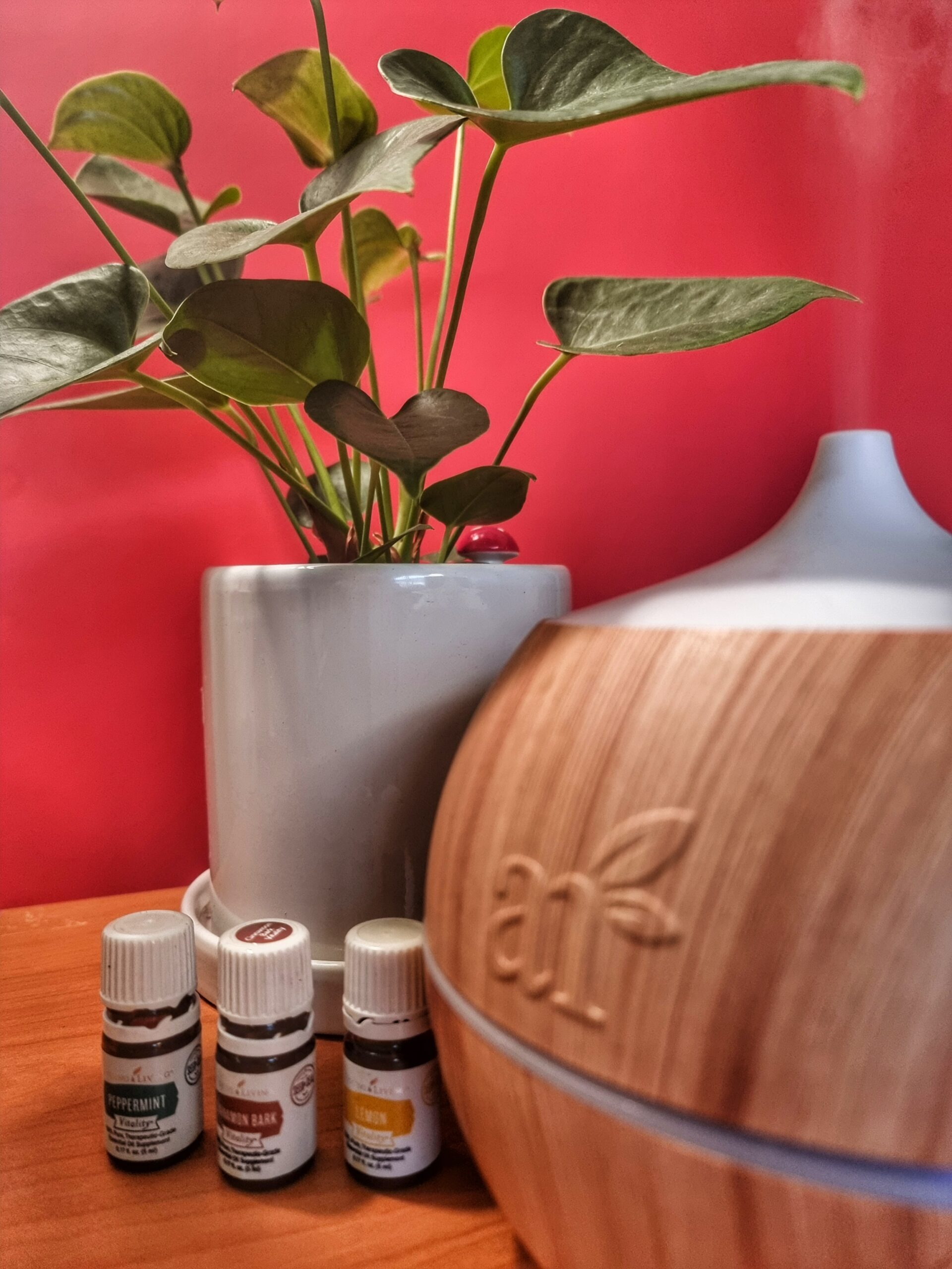 Weight Loss 5 Essential Oils to Achieve Your Goals Dbs travels
