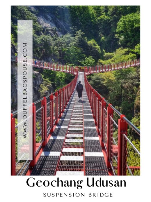 Geochang Udusan Suspension Bridge Y-shaped Marvel