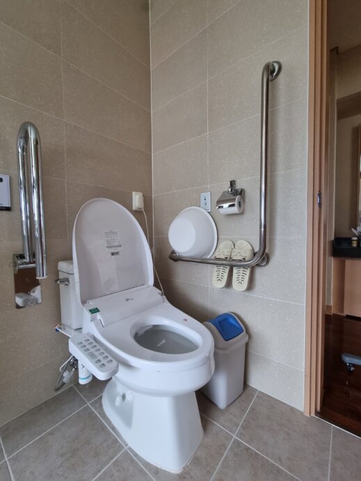 Japanese toilet in master bathroom