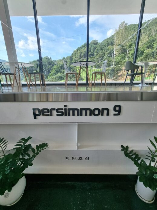 Persimmon 9 view from 2nd flloor sign
