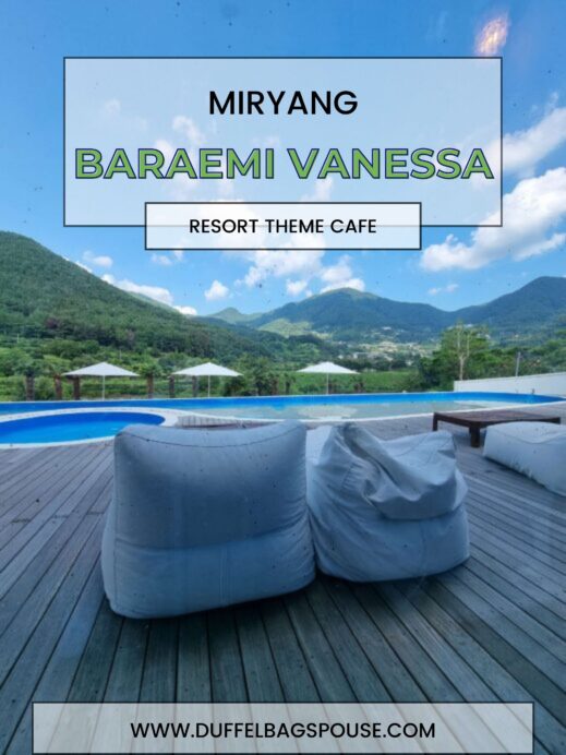 Baraemi Vanessa Pinterest pin of bean bags