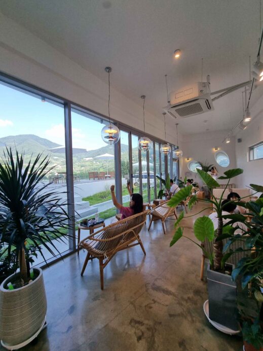 Baraemi Vanessa window view