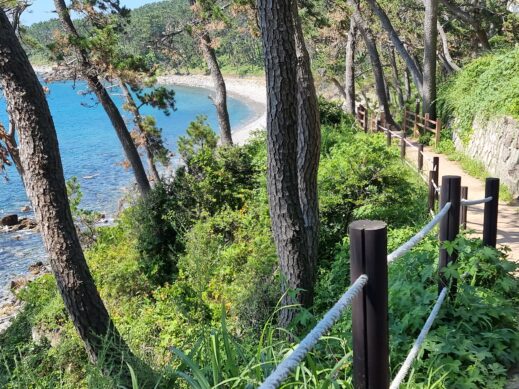 beach through the forest Island Trail