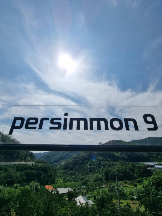 Persimmon9 sign sky on the roof