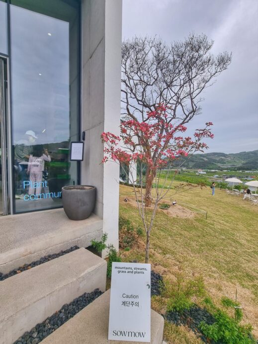 Soumou Cafe Cheongdo entrance with reservoir in the background
