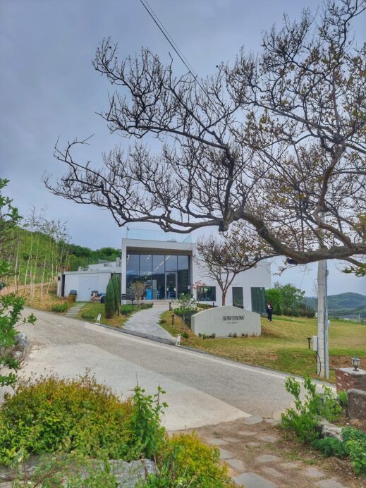 Soumou Cafe Cheongdo view of modern from garden cafe