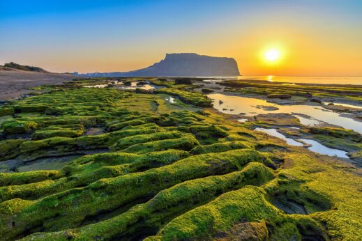 Sunrise,At,Jeju,Do,Seongsan,Ilchulbong,,Jeju,Island,,South,Korea