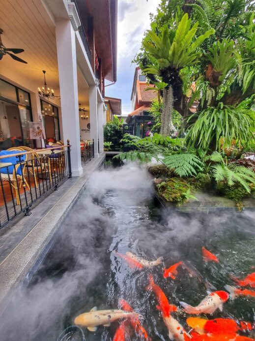 Khum Hom Cafe more koi fish