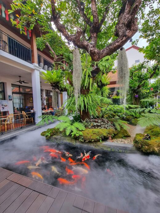 koi fish swimming at Khum Hom Cafe