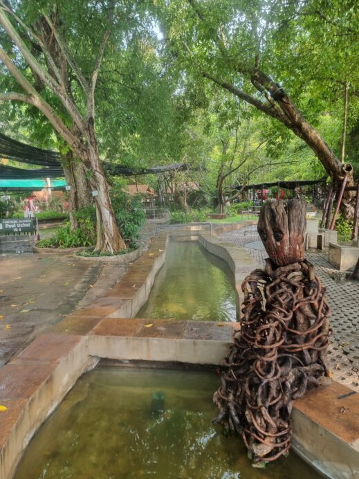 wooden srtatue getting soaked at hot springs