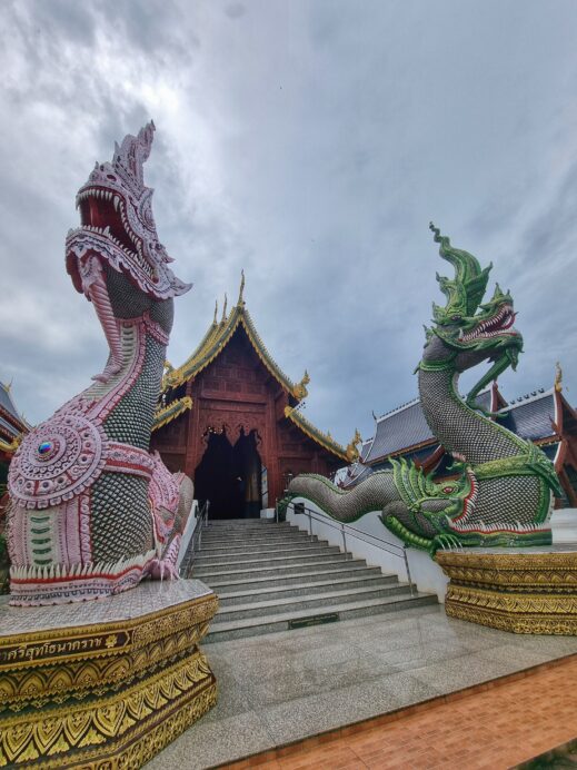 pink and green Naga dragons