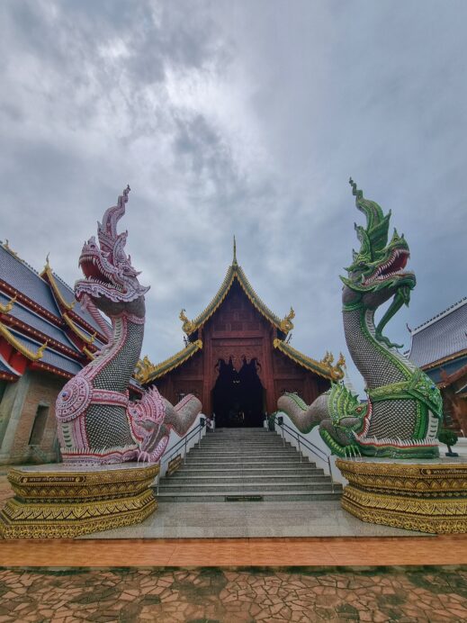 pink and green Naga dragons2