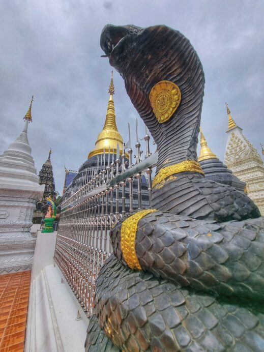 viper in front of stupas or chedis