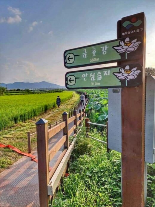 Banyawol Lotus Complex sign