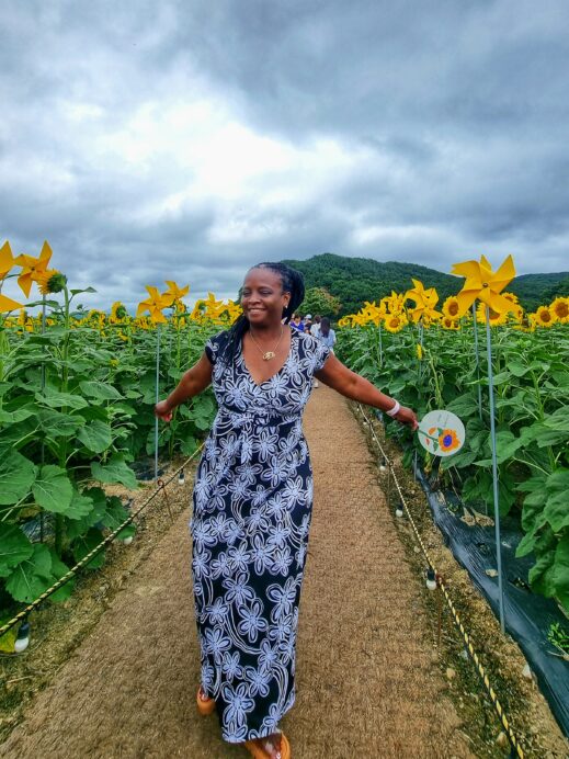 Banyawol Lotus Complex with sunflowers