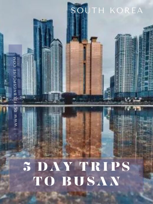5-DAY-TRIPS-TO-BUSAN-SOUTH-KOREA