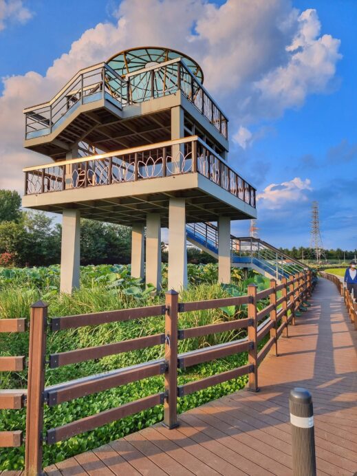 Banyawol Lotus Complex elevated building