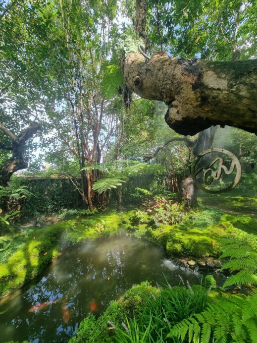 Jungle-Themed Cafes in Chiang Mai koi pond