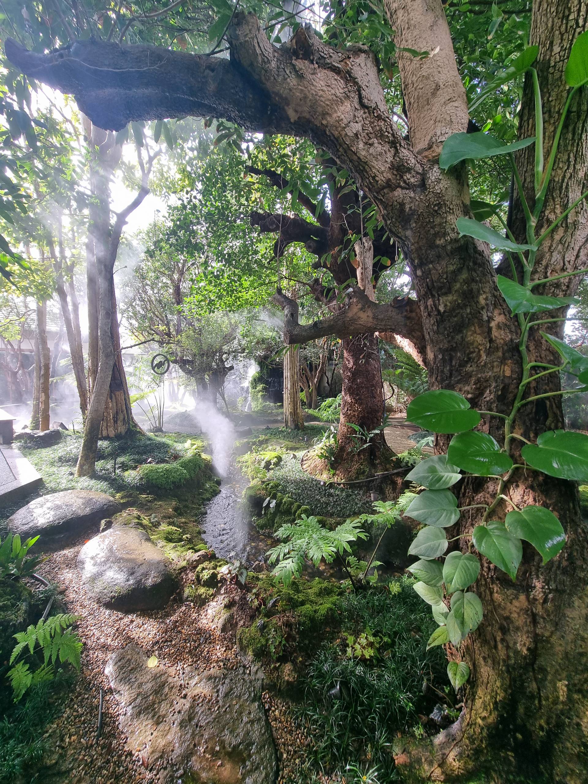 Chom magical garden with mist